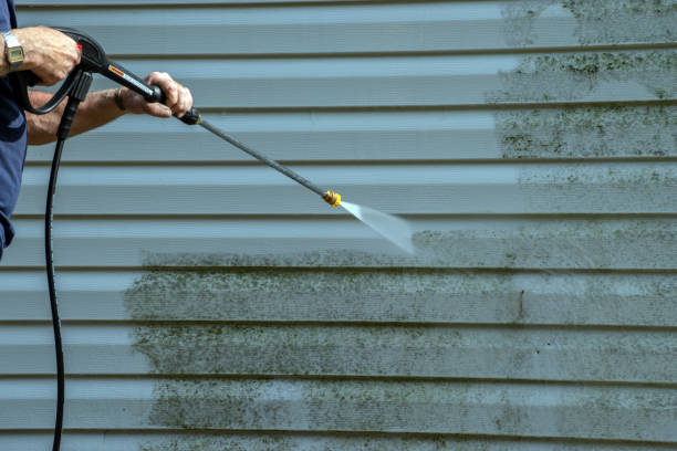Professional Pressure Washing Services in Thorsby, AL